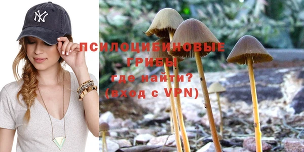 спайс Алексеевка