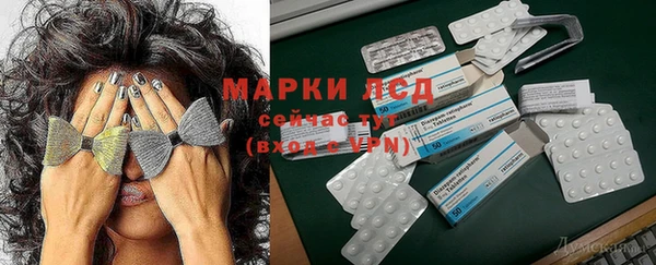 гашик Алзамай