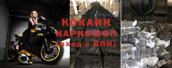 гашик Алзамай