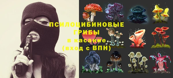 спайс Алексеевка